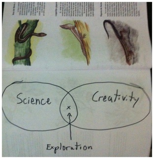 Exploration = Science X Creativity